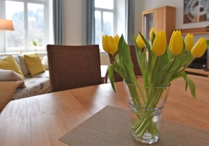 Excellent Villa in Borstendorf with Garden