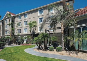 Family Retreat! 3 Great Units, Pet-Friendly, Onsite Pool, Free Breakfast