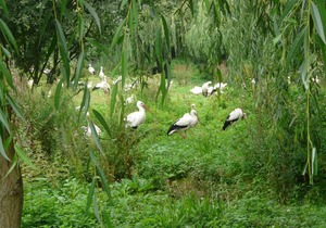Ferien im Elsass
