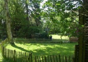 Ferienhaus an der Buche "Gartenblick"