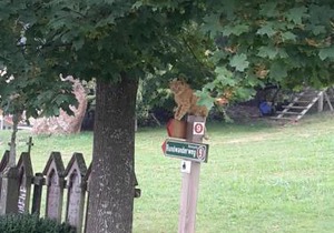 Ferienhof Schmalzgrub