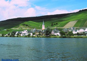 Ferienwohnung am Moselufer