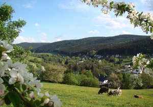 Ferienwohnung Lang