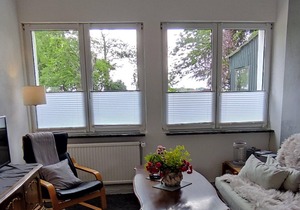 Ferienwohnung , im Karolinenkoog Erholung zwischen Feld und Deich