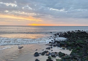 Ferienwohnung in Westerland auf Sylt