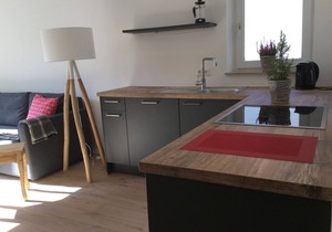 Ferienwohnung Laitschenbach, 55qm mit 1 Schlafraum und Balkon fürmax. 4 Personen