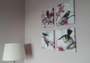 Ferienwohnung Sayntalblick