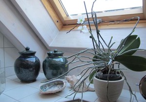 Ferienwohnung Spessart