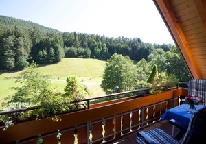 Ferienwohnung Typ C 41, 40qm, 1 Wohn-/Schlafzimmer, max. 3 Personen