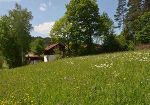 Ferienwohnung Wildgatter