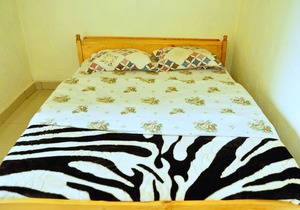 Fidos Guest House & Safaris