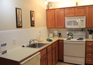 First Floor Allegheny Springs with Private Entrance-free pool use,slopeside,A/C