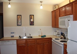 First Floor Allegheny Springs with Private Entrance-free pool use,slopeside,A/C