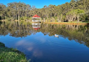 Forest Lodge Resort