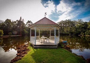 Forest Lodge Resort