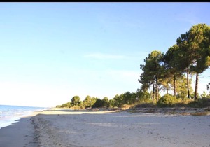 Four rooms apartment Ghisonaccia - 150 m from the beach