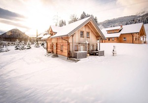 FREDIS HÜTTE 300W