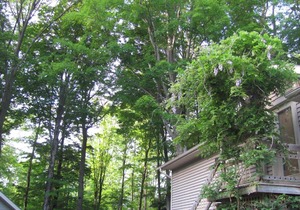 Frenchman Bay Cottages-Loft