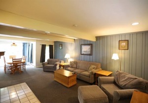 Garden Level Inns of WV unit with Private Hot Tub and Shared Back Yard (101)