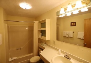 Garden Level Inns of WV unit with Private Hot Tub and Shared Back Yard (101)