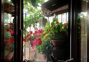 Garnì B&B La Rua-Pescocostanzo