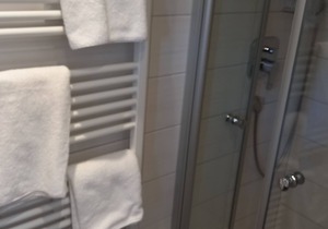 Gasthaus Adler: Double Room with Private Bathroom and Garden View