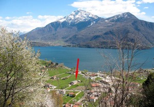 Gelsomino