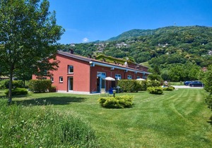 Gelsomino