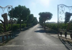 Gite 5 in the heart of 6 acres of vineyard - Saint-Laurent-de-la-Salanque