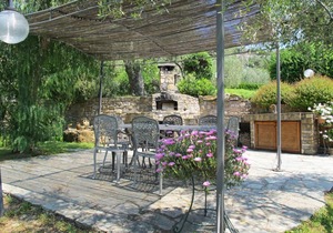 Gli ulivi di Alberto