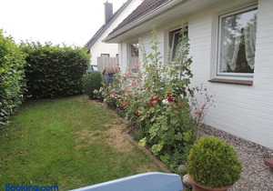 Goden Wind 4