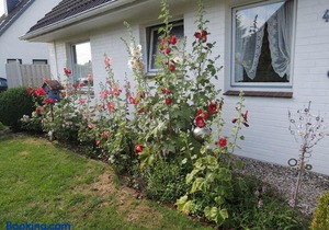 Goden Wind 4