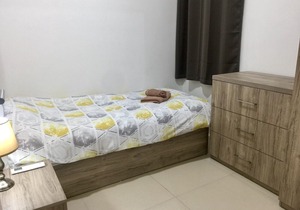 Gorgeous 1BR Apartment close to Amenities