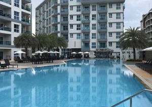 Grand Blue 181/8