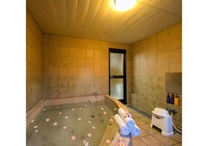 Grand Park Hotel Kazusa / Vacation STAY 77364