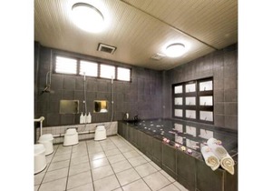 Grand Park Hotel Kazusa/Vacation STAY 77383