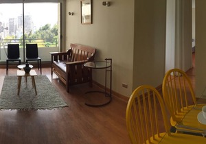 Great And Cozy Apartment In Downtown Santiago