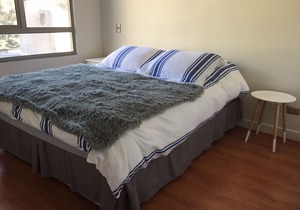 Great And Cozy Apartment In Downtown Santiago