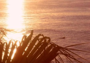 Great Beachfront one bedroom condo, beautiful view, Mexico San Jose del Cabo.n