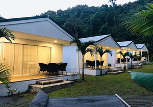 Green Oasis located inland Avatiu Valley- Basic & Affordable