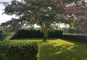 Guest house Kravica