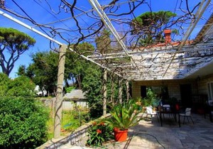 Guest House Zec