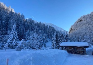 Haus Alpengruss