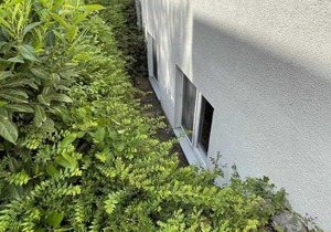 Haus Niedersachsen Apartment 12
