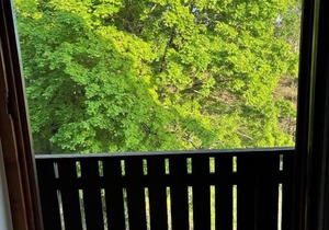 Helle Ferienwohnung für bis zu Vier Personen mit Balkon