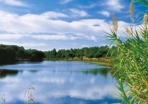 Herdade De Montalvo