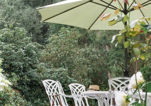 Hermann | Gut Moorbeck - Holiday rooms