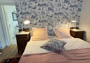 Historical Villa in the heart of Bled