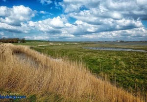 Hogezoom 131