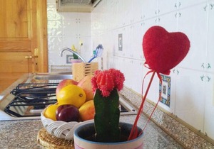 Holiday apartment Barano d'Ischia for 1 - 3 persons with 1 bedroom - Holiday house